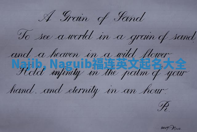 Najib, Naguib福连英文起名大全